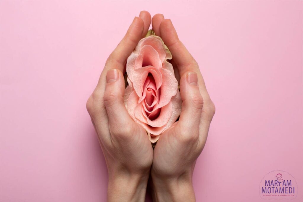 عمل پرینورافی